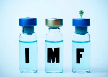 INTERNATIONAL MONETARY FUND (IMF) Explore the IMF's perspective on the timing of interest rate cuts, emphasizing the risks of acting too soon versus a cautious delay