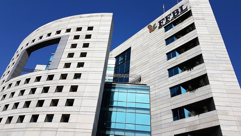 Fauji Fertilizer Bin Qasim Limited (FFBL)