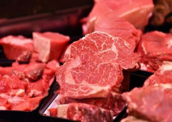 The Organic Meat Company Limited (PSX- TOMCL)