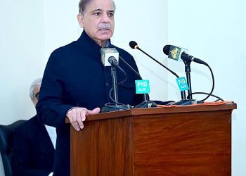 Prime Minister Muhammad Shehbaz Sharif on Monday assured foolproof security measures for the Chinese nationals working on Dasu Hydropower Project