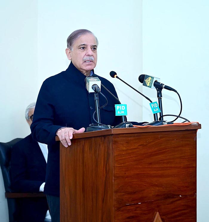 Prime Minister Muhammad Shehbaz Sharif on Monday assured foolproof security measures for the Chinese nationals working on Dasu Hydropower Project
