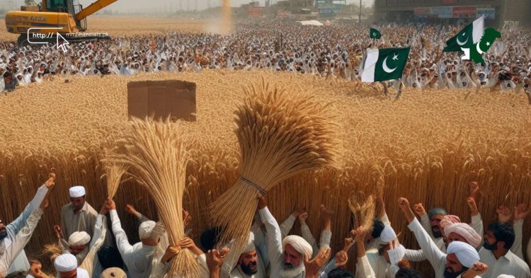WHEAT PAKISTAN