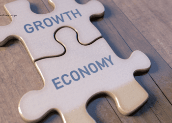 DAILY PAKISTAN ECONOMY