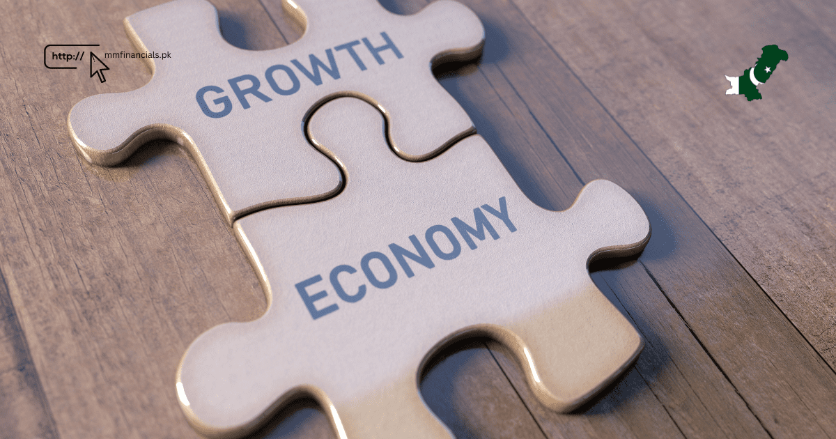 DAILY PAKISTAN ECONOMY